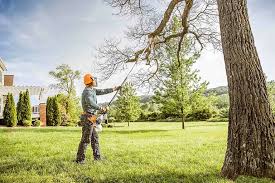 Trusted Finley, WA Tree Care Experts