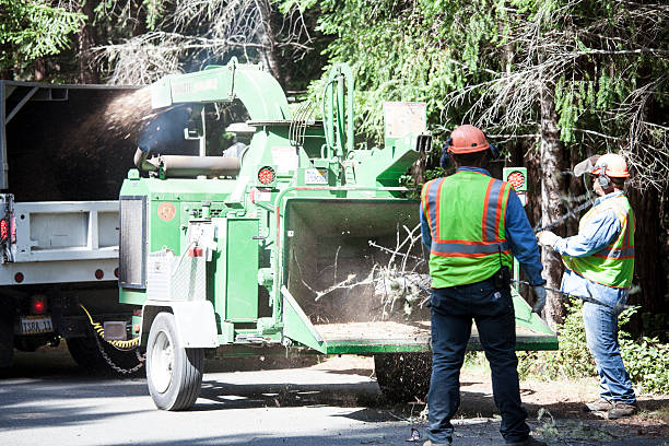 Best Grass Overseeding  in Finley, WA