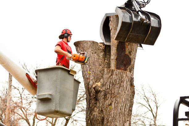 Best Aeration Services  in Finley, WA
